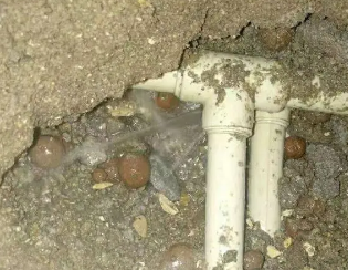 怒江卫生间测漏
