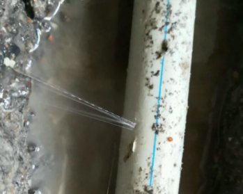 怒江卫生间测漏水多少钱